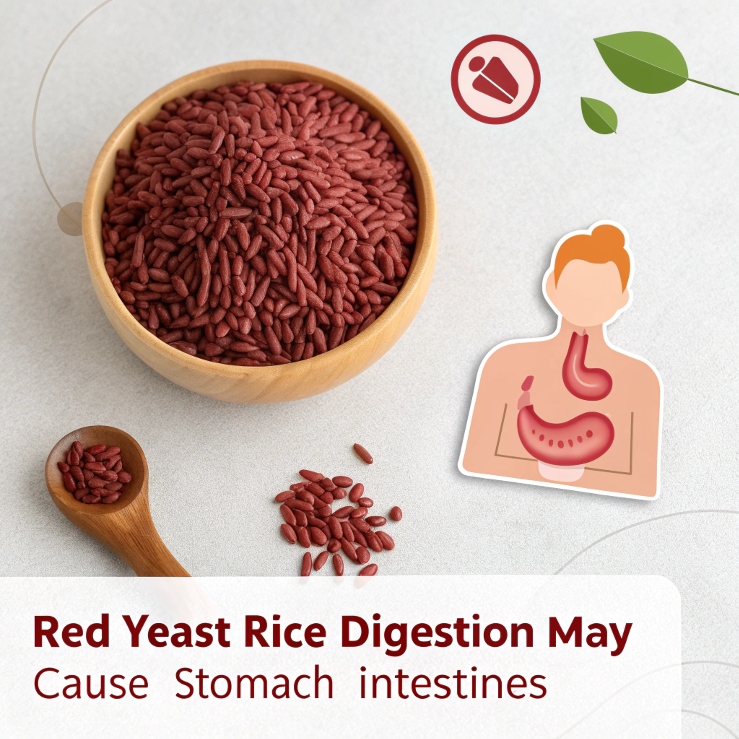Red yeast rice and digestion issues