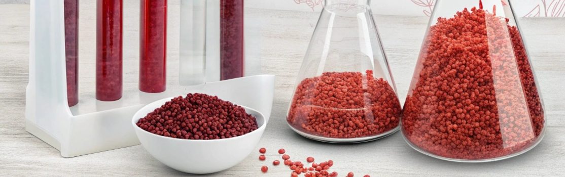 Are New Red Yeast Rice Strains More Effective