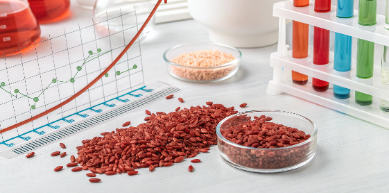 Does Red Yeast Rice Lower CRP Levels