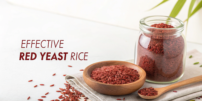 3 Most Effective Red Yeast Rice Brands